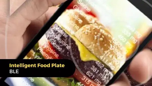 Intelligent FoodPlate